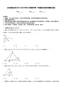 山东省微山县2023-2024学年八年级数学第一学期期末质量检测模拟试题含答案