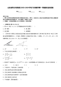 山东省枣庄市薛城区2023-2024学年八年级数学第一学期期末监测试题含答案