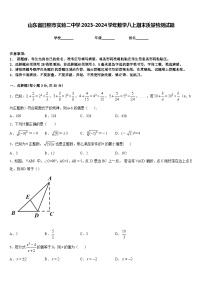 山东省日照市实验二中学2023-2024学年数学八上期末质量检测试题含答案