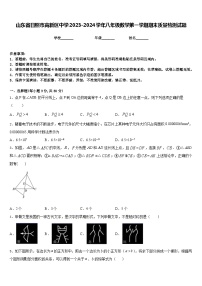 山东省日照市高新区中学2023-2024学年八年级数学第一学期期末质量检测试题含答案