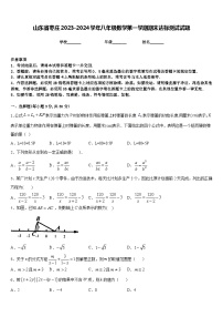 山东省枣庄2023-2024学年八年级数学第一学期期末达标测试试题含答案