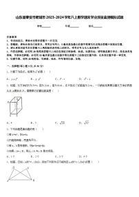 山东省泰安市肥城市2023-2024学年八上数学期末学业质量监测模拟试题含答案