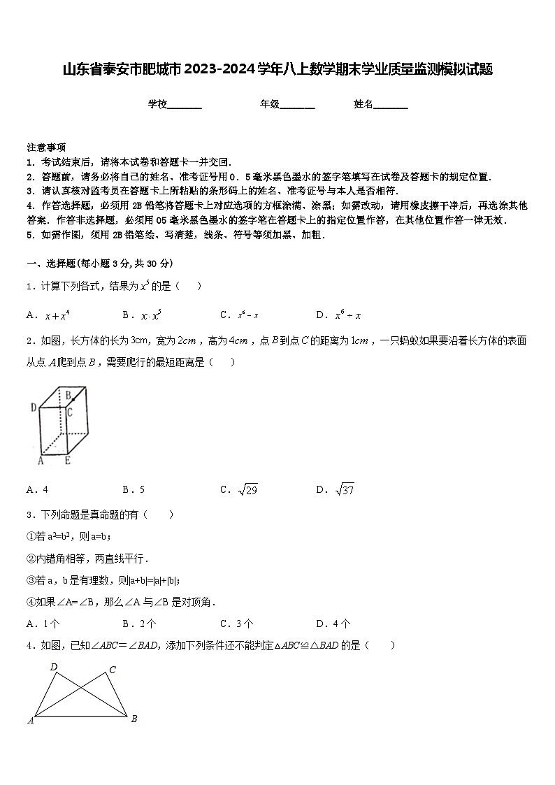 山东省泰安市肥城市2023-2024学年八上数学期末学业质量监测模拟试题含答案01