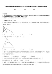 山东省滕州市洪绪镇洪绪中学2023-2024学年数学八上期末质量跟踪监视试题含答案