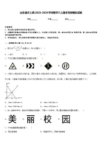 山东省汶上县2023-2024学年数学八上期末检测模拟试题含答案