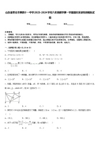 山东省枣庄市第四十一中学2023-2024学年八年级数学第一学期期末质量检测模拟试题含答案