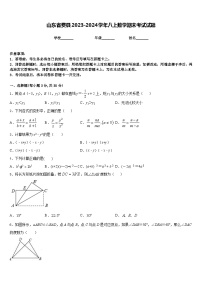 山东省费县2023-2024学年八上数学期末考试试题含答案