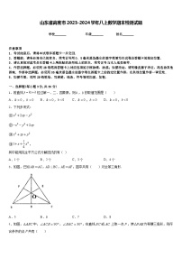 山东省高密市2023-2024学年八上数学期末检测试题含答案