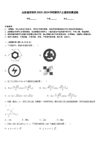 山东省菏泽市2023-2024学年数学八上期末经典试题含答案