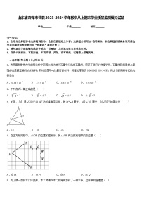 山东省菏泽市曹县2023-2024学年数学八上期末学业质量监测模拟试题含答案