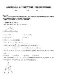 山东省莱州市2023-2024学年数学八年级第一学期期末质量检测模拟试题含答案