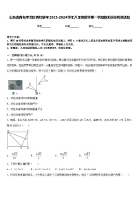 山东省青岛李沧区四校联考2023-2024学年八年级数学第一学期期末达标检测试题含答案