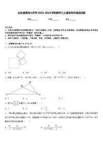 山东省青岛七中学2023-2024学年数学八上期末综合测试试题含答案