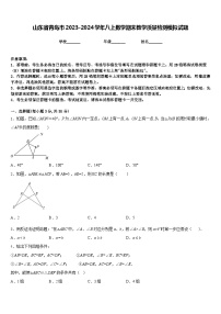 山东省青岛市2023-2024学年八上数学期末教学质量检测模拟试题含答案