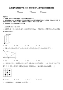 山东省青岛市超银中学2023-2024学年八上数学期末检测模拟试题含答案