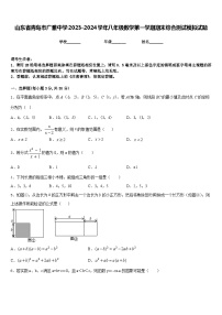 山东省青岛市广雅中学2023-2024学年八年级数学第一学期期末综合测试模拟试题含答案