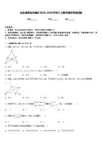 山东省青岛市南区2023-2024学年八上数学期末检测试题含答案