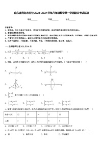 山东省青岛市五校2023-2024学年八年级数学第一学期期末考试试题含答案