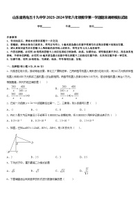 山东省青岛五十九中学2023-2024学年八年级数学第一学期期末调研模拟试题含答案