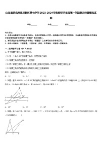 山东省青岛西海岸新区第七中学2023-2024学年数学八年级第一学期期末经典模拟试题含答案