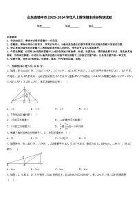 山东省邹平市2023-2024学年八上数学期末质量检测试题含答案