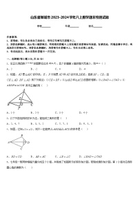 山东省邹城市2023-2024学年八上数学期末检测试题含答案