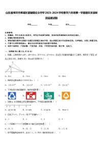 山东省潍坊市潍城区望留镇庄头中学2023-2024学年数学八年级第一学期期末质量跟踪监视试题含答案