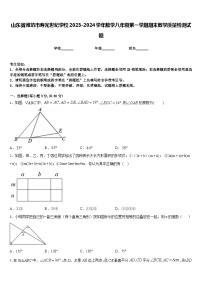 山东省潍坊市寿光世纪学校2023-2024学年数学八年级第一学期期末教学质量检测试题含答案