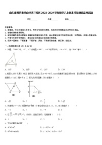 山东省潍坊市峡山经济开发区2023-2024学年数学八上期末质量跟踪监视试题含答案