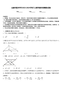 山南市重点中学2023-2024学年八上数学期末经典模拟试题含答案