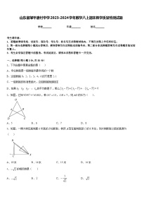 山东省邹平唐村中学2023-2024学年数学八上期末教学质量检测试题含答案