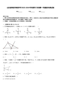 山东省邹城市邹城中学2023-2024学年数学八年级第一学期期末经典试题含答案