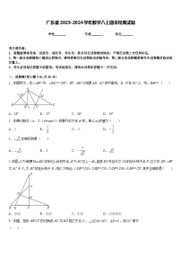 广东省2023-2024学年数学八上期末经典试题含答案