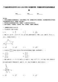 广东省东莞市东华中学2023-2024学年八年级数学第一学期期末教学质量检测模拟试题含答案