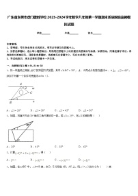 广东省东莞市虎门捷胜学校2023-2024学年数学八年级第一学期期末质量跟踪监视模拟试题含答案