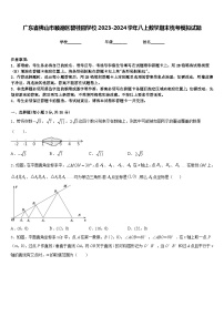 广东省佛山市顺德区碧桂园学校2023-2024学年八上数学期末统考模拟试题含答案