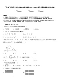 广东省广州市白云区华师附中新世界学校2023-2024学年八上数学期末经典试题含答案