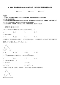 广东省广州市番禺区2023-2024学年八上数学期末达标检测模拟试题含答案