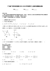 广东省广州市名校联盟2023-2024学年数学八上期末经典模拟试题含答案