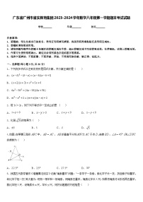 广东省广州市省实教育集团2023-2024学年数学八年级第一学期期末考试试题含答案