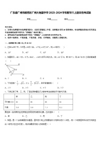 广东省广州市越秀区广州大附属中学2023-2024学年数学八上期末统考试题含答案