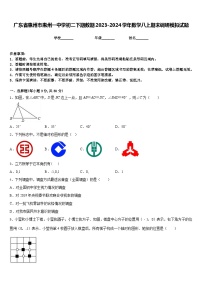 广东省惠州市惠州一中学初二下期数期2023-2024学年数学八上期末调研模拟试题含答案