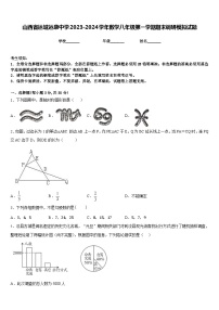 山西省运城运康中学2023-2024学年数学八年级第一学期期末调研模拟试题含答案