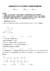 山西省运城市2023-2024学年数学八上期末复习检测模拟试题含答案