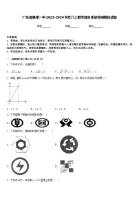 广东省惠州一中2023-2024学年八上数学期末质量检测模拟试题含答案