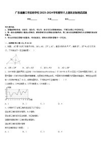 广东省廉江市实验学校2023-2024学年数学八上期末达标测试试题含答案