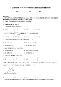 广东省云浮市2023-2024学年数学八上期末质量检测模拟试题含答案