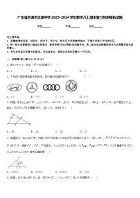 广东省河源市正德中学2023-2024学年数学八上期末复习检测模拟试题含答案