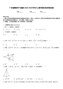 广东省揭阳市产业园区2023-2024学年八上数学期末质量检测试题含答案