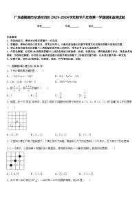 广东省揭阳市空港经济区2023-2024学年数学八年级第一学期期末监测试题含答案